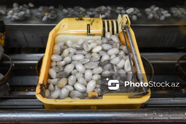 Dövlət Turizm Agentliyinin Şəki şəhərinə təşkil etdiyi mediatur