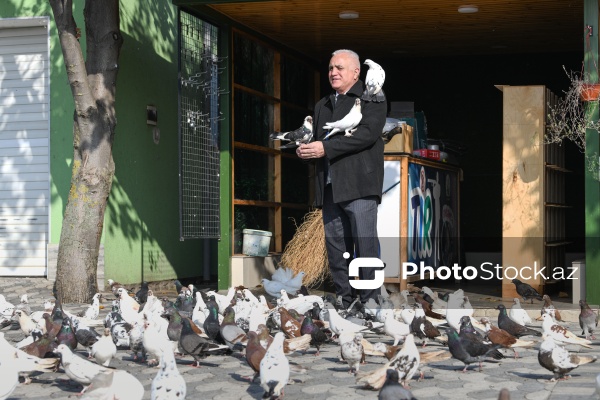 Dövlət Turizm Agentliyinin Şəki şəhərinə təşkil etdiyi mediatur