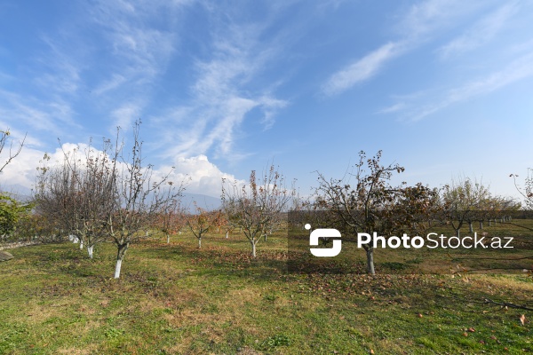 Dövlət Turizm Agentliyinin Şəki şəhərinə təşkil etdiyi mediatur