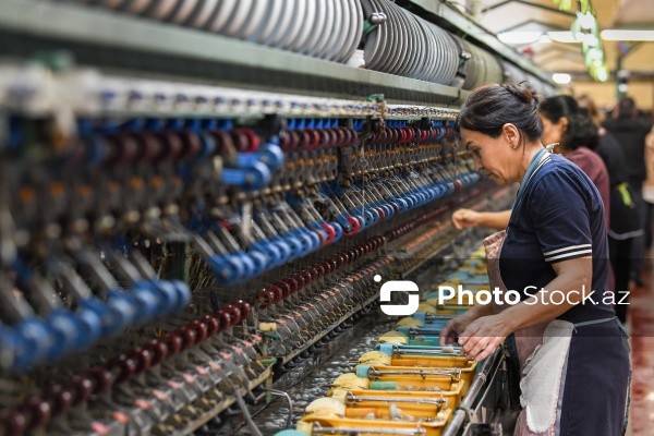 Dövlət Turizm Agentliyinin Şəki şəhərinə təşkil etdiyi mediatur