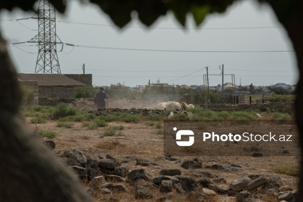 Dübəndidə yerləşən XIII – XIV əsrə aid qışlaq