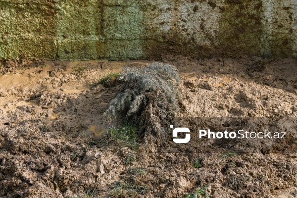 Əhmədli qəsəbəsində baş verən torpaq sürüşməsi