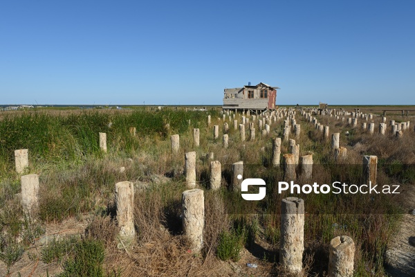 Ələt qəsəbəsində XIX əsrin 40-50-ci illərinə aid balıqçı evləri