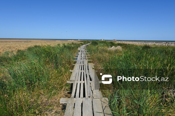 Ələt qəsəbəsində XIX əsrin 40-50-ci illərinə aid balıqçı evləri