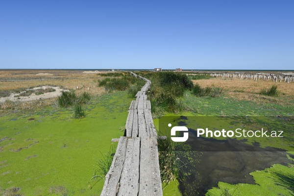 Ələt qəsəbəsində XIX əsrin 40-50-ci illərinə aid balıqçı evləri