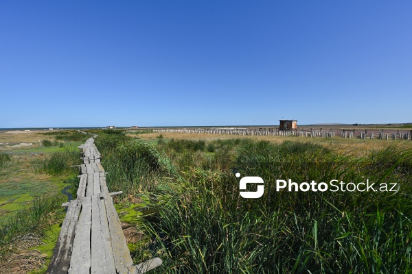 Ələt qəsəbəsində XIX əsrin 40-50-ci illərinə aid balıqçı evləri