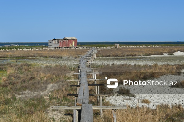 Ələt qəsəbəsində XIX əsrin 40-50-ci illərinə aid balıqçı evləri
