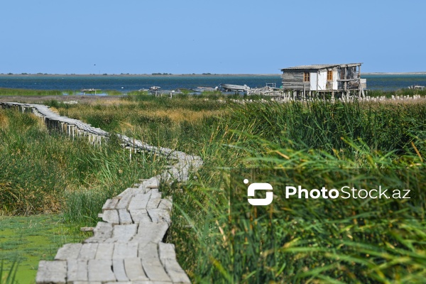 Ələt qəsəbəsində XIX əsrin 40-50-ci illərinə aid balıqçı evləri