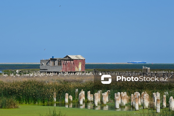 Ələt qəsəbəsində XIX əsrin 40-50-ci illərinə aid balıqçı evləri