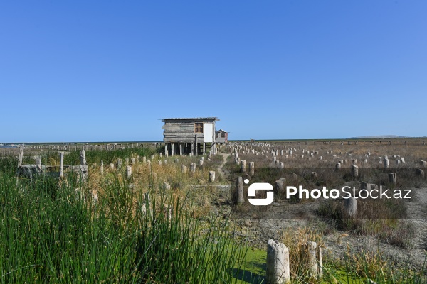 Ələt qəsəbəsində XIX əsrin 40-50-ci illərinə aid balıqçı evləri