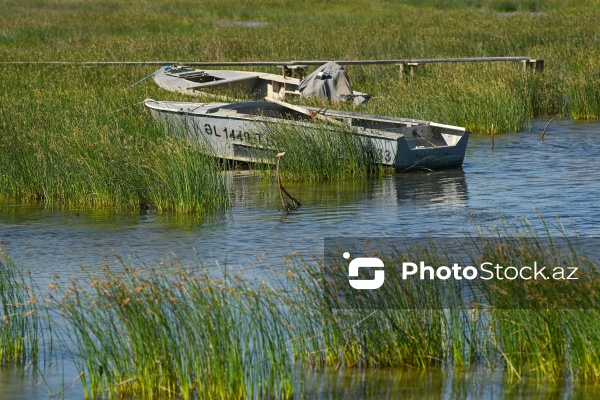 Ələt qəsəbəsində XIX əsrin 40-50-ci illərinə aid balıqçı evləri