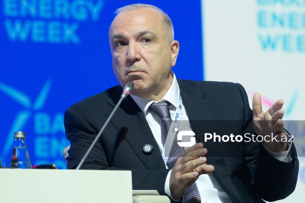 "Enerji transformasiyası və gələcək strategiyaları mövzusunda liderlərin mövqeyi" adlı panel