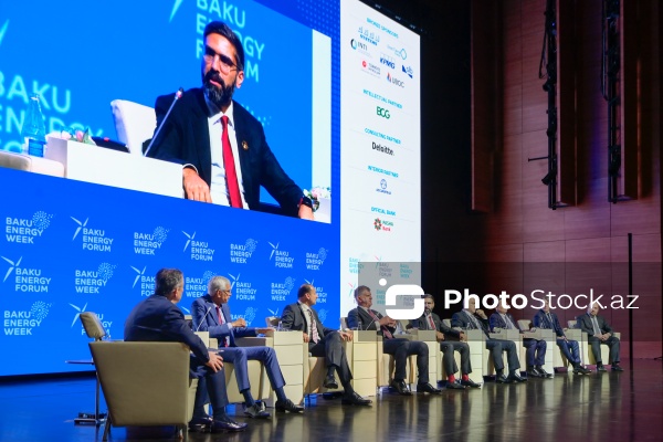 "Enerji transformasiyası və gələcək strategiyaları mövzusunda liderlərin mövqeyi" adlı panel