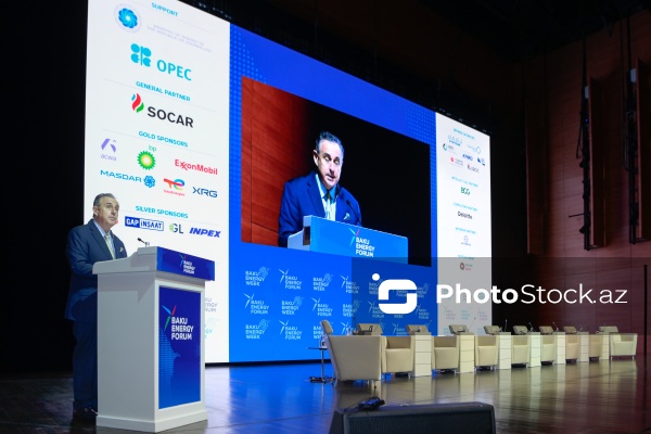 "Enerji transformasiyası və gələcək strategiyaları mövzusunda liderlərin mövqeyi" adlı panel