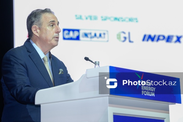 "Enerji transformasiyası və gələcək strategiyaları mövzusunda liderlərin mövqeyi" adlı panel