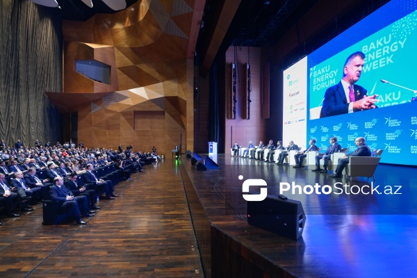 "Enerji transformasiyası və gələcək strategiyaları mövzusunda liderlərin mövqeyi" adlı panel