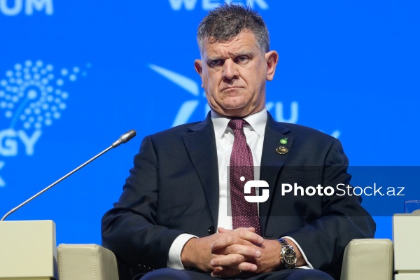 "Enerji transformasiyası və gələcək strategiyaları mövzusunda liderlərin mövqeyi" adlı panel