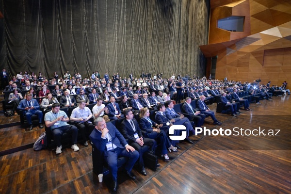 "Enerji transformasiyası və gələcək strategiyaları mövzusunda liderlərin mövqeyi" adlı panel