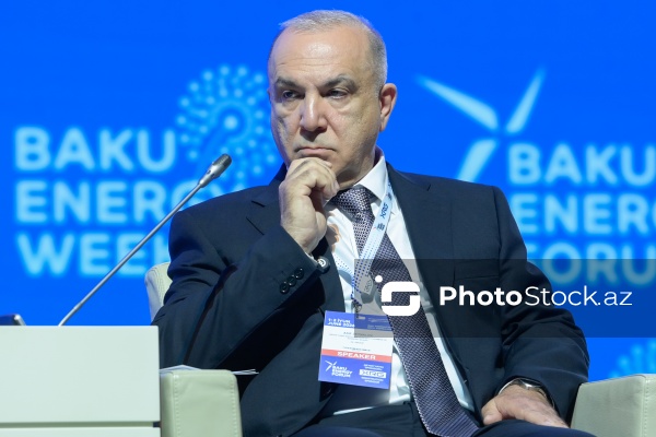 "Enerji transformasiyası və gələcək strategiyaları mövzusunda liderlərin mövqeyi" adlı panel