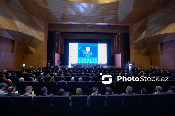 "Enerji transformasiyası və gələcək strategiyaları mövzusunda liderlərin mövqeyi" adlı panel