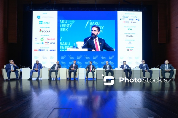 "Enerji transformasiyası və gələcək strategiyaları mövzusunda liderlərin mövqeyi" adlı panel