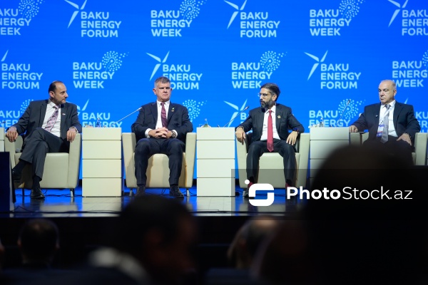 "Enerji transformasiyası və gələcək strategiyaları mövzusunda liderlərin mövqeyi" adlı panel