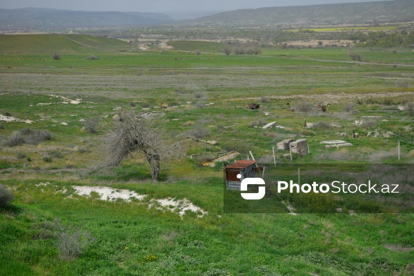 ETSN-nin təşkilatçılığı ilə işğaldan azad olunmuş Zəngilan rayonuna edilmiş mediatur