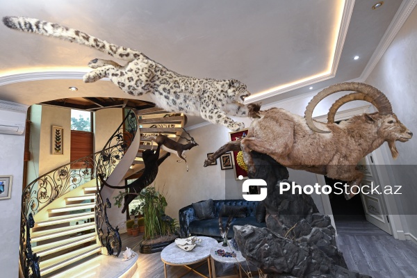 Dünyanın müxtəlif ölkələrindən toplanan ov kolleksiyası