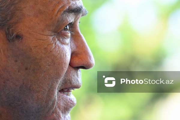 Filologiya elmləri doktoru, professor, dilçi alim Fəxrəddin Veysəlli