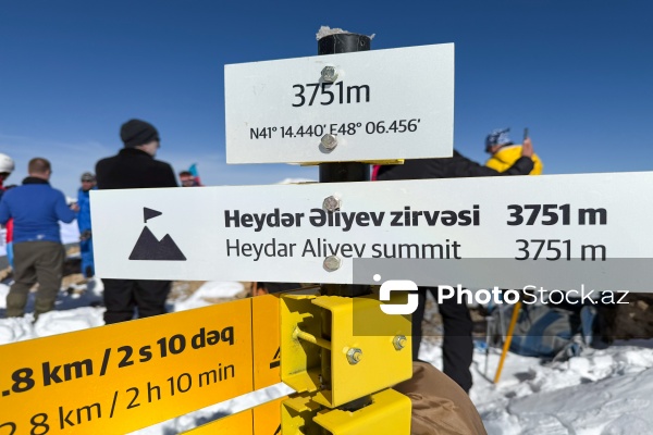 "Global Media Group" holdinqinin əməkdaşı "Heydər zirvəsi"ndə