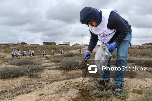 “Global Media Group” Beynəlxalq Sahilyanı Təmizlik Günündə iştirak edib