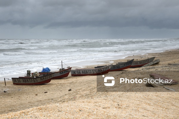“Global Media Group” Beynəlxalq Sahilyanı Təmizlik Günündə iştirak edib