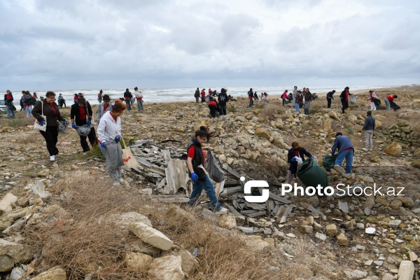“Global Media Group” Beynəlxalq Sahilyanı Təmizlik Günündə iştirak edib