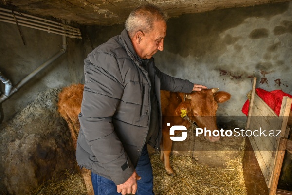 Yavər Qurbanov - Qırmızı Bazar qəsəbəsinin sakini