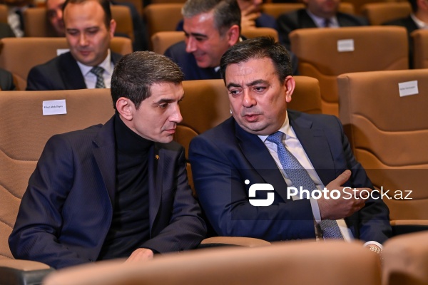 Elnur Abdullayev - "Harmoniya" sənədli filminin təqdimatında