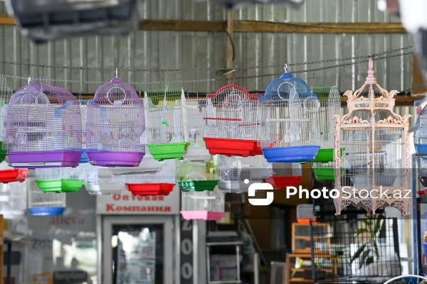 Nəsimi rayonunda yerləşən ev heyvanlarının satış bazarı