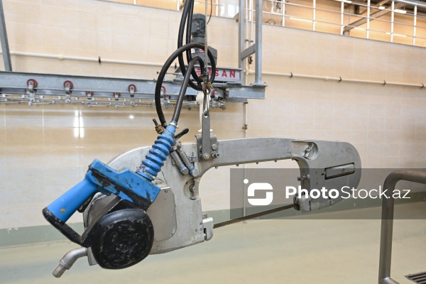 Heyvan kəsimi məntəqəsinə təşkil olunan infotur