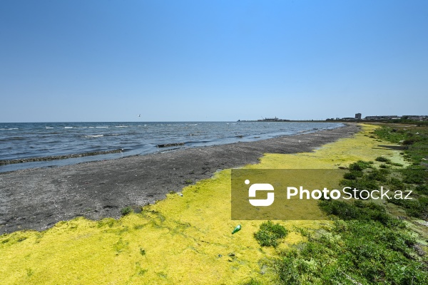 Hövsan çimərliyində yaranmış antisanitar vəziyyət