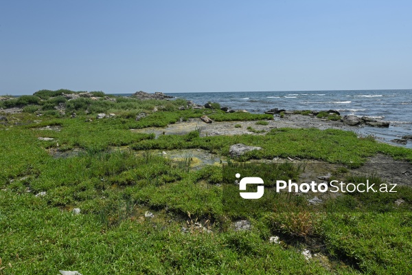Hövsan çimərliyində yaranmış antisanitar vəziyyət