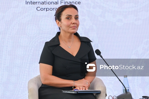 I Azərbaycan Beynəlxalq İnvestisiya Forumunun ikinci günü