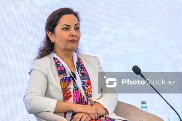 I Azərbaycan Beynəlxalq İnvestisiya Forumunun ikinci günü