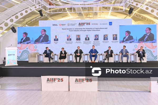 I Azərbaycan Beynəlxalq İnvestisiya Forumunun ikinci günü