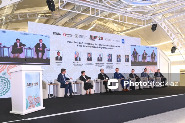 I Azərbaycan Beynəlxalq İnvestisiya Forumunun ikinci günü