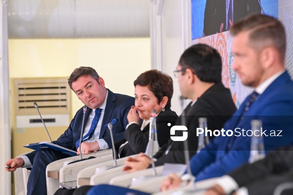 I Azərbaycan Beynəlxalq İnvestisiya Forumunun ikinci günü
