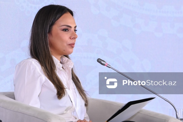 I Azərbaycan Beynəlxalq İnvestisiya Forumunun ikinci günü