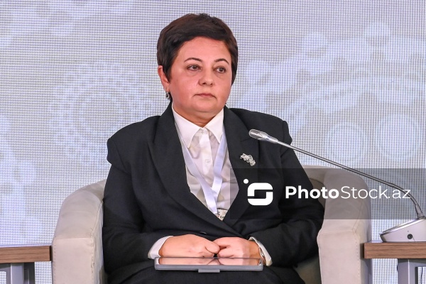 I Azərbaycan Beynəlxalq İnvestisiya Forumunun ikinci günü