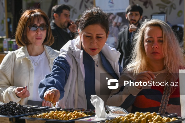 İçərişəhərdə keçirilən Zeytun Festivalı