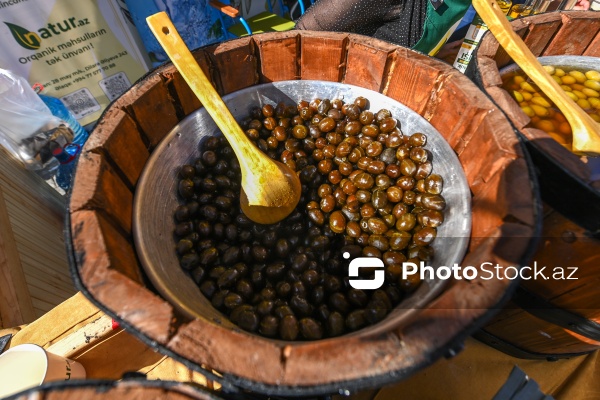 İçərişəhərdə keçirilən Zeytun Festivalı
