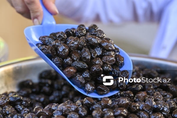 İçərişəhərdə keçirilən Zeytun Festivalı