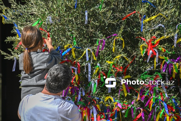 İçərişəhərdə keçirilən Zeytun Festivalı
